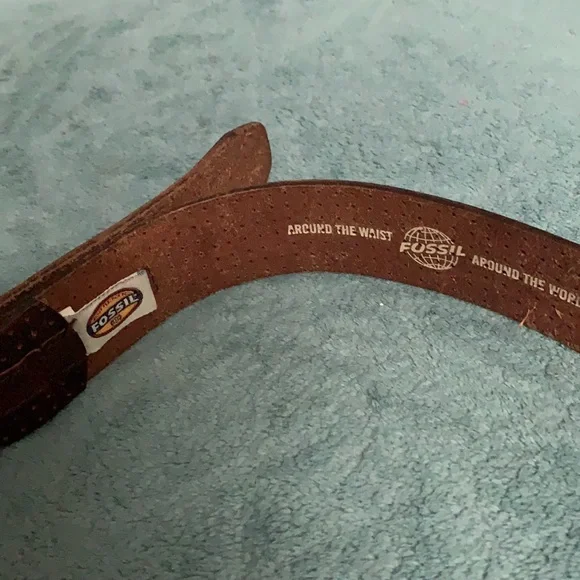 Fossil Belt - Picture 2 of 5